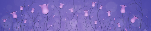 444808 (a): :5040x1050